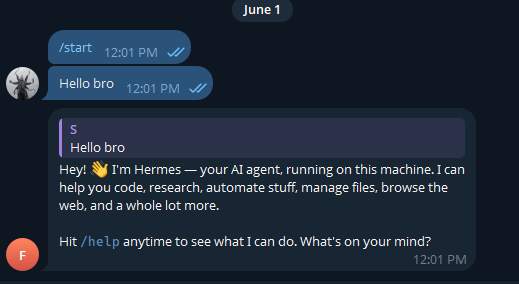 Hermes Agent first Telegram message introducing itself as a self-hosted AI agent running on this machine