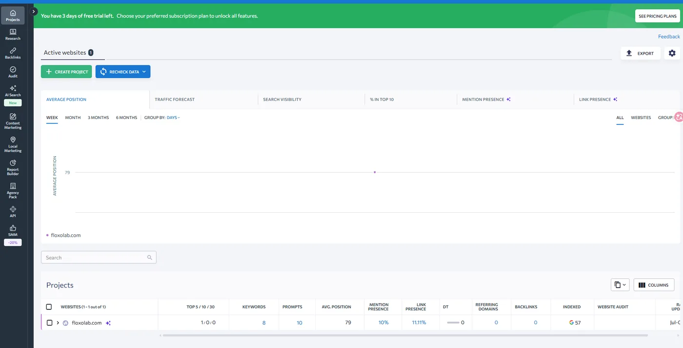 SE Ranking dashboard for a project with average position, keywords, prompts, and referring domains